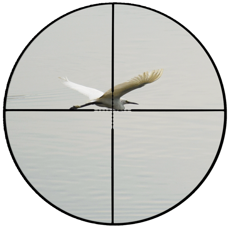 16.png