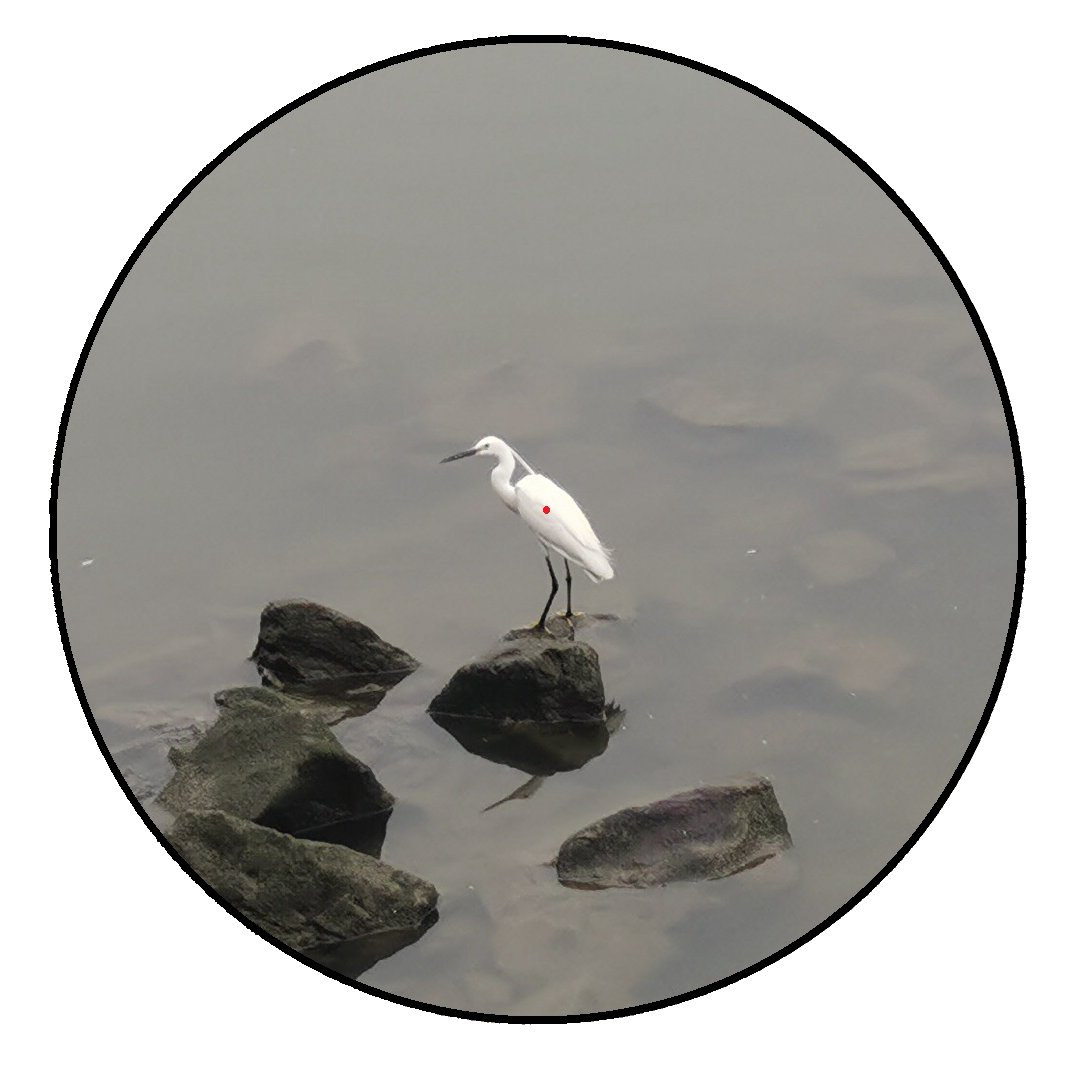 IMG_20220329_175511_副本.png