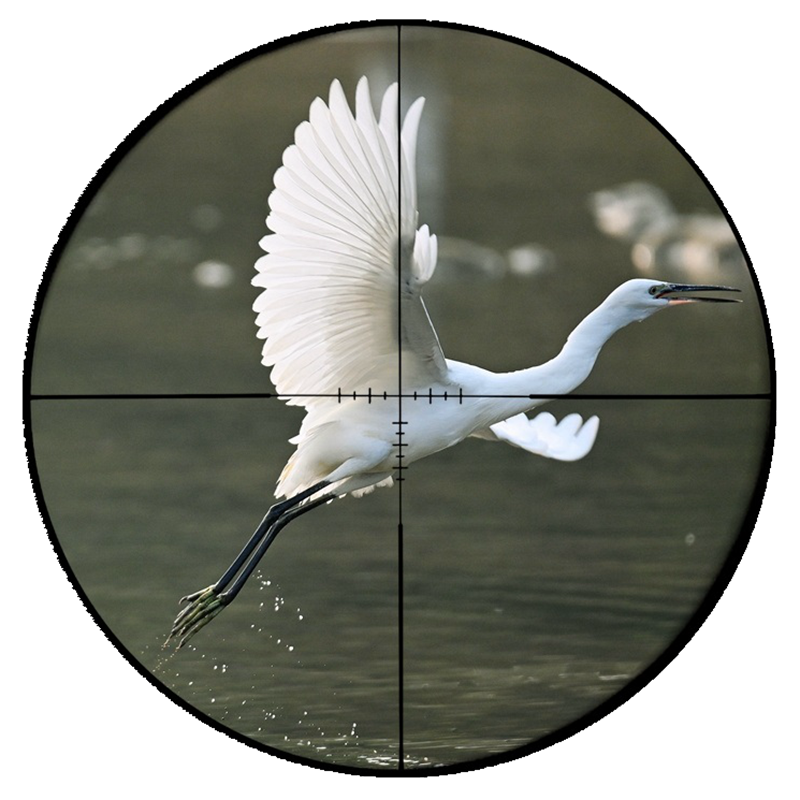 15.png